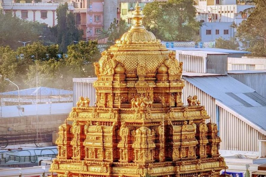 Tirumala Darshan Package